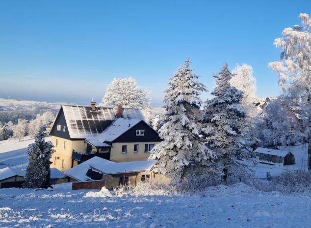 Ferienwohnung Reinhardt Steinhuebel Seiffen Extérieur photo